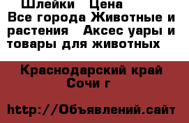 Шлейки › Цена ­ 800 - Все города Животные и растения » Аксесcуары и товары для животных   . Краснодарский край,Сочи г.